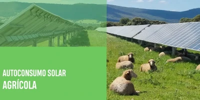 Autoconsumo solar sgrícola: rentabilidad y aplicaciones